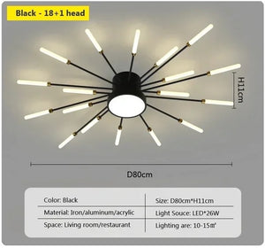 magic wand light | architectural lighting design | sunburst light fixture | sunburst ceiling light | sunburst ceiling medallion