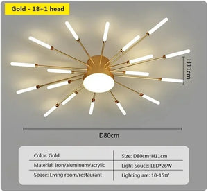 magic wand light | architectural lighting design | sunburst light fixture | sunburst ceiling light | sunburst ceiling medallion