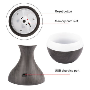 Diagram of the Black Decorative Display SpyCam, a two-part espionage device with a reset button and memory card slot on top, and a discreetly placed USB charging port on the bottom.