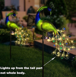 peacock solar light | lighted peacock christmas decoration | peacock solar | fairy peacock light | solar peacock light