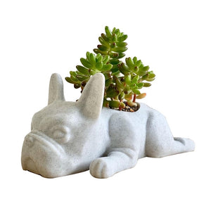Puppy Succulent Pot - iSmart Home Gadgets Limited
