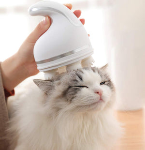 Universal Massager (For Cat & Human) - iSmart Home Gadgets Limited