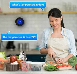 gas leak detector | natural gas detector | natural gas leak detector | home depot natural gas detector | best natural gas detector | combustible gas leak detector | best gas leak detector | best gas detector