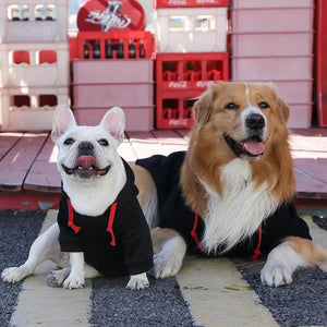 small dog hoodie | best dog hoodies | extra small dog clothes | small dog clothes cheap | small dog apparel | small dog clothes near me