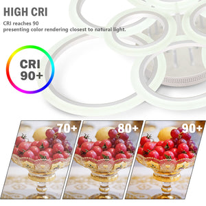 Tania Circle Ceiling Light - iSmart Home Gadgets Limited