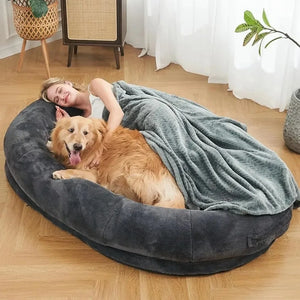 human bed with dog bed | human bed with dog bed underneath | giant dog bed for humans | oversized dog bed | xxl dog beds amazon | xxl dog bed memory foam | dog beds in store near me