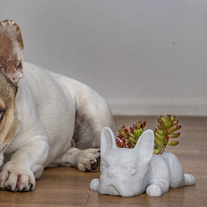 Puppy Succulent Pot - iSmart Home Gadgets Limited