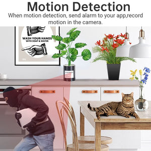 Artificial Plant SpyCam - iSmart Home Gadgets Limited