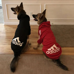alt="funny shirts for dogs | big brother dog shirt | funny dog shirts for small dogs | funny dog clothes | dog hoodie meme"