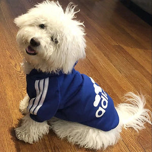alt="funny shirts for dogs | big brother dog shirt | funny dog shirts for small dogs | funny dog clothes | dog hoodie meme"