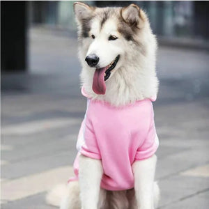 alt="funny shirts for dogs | big brother dog shirt | funny dog shirts for small dogs | funny dog clothes | dog hoodie meme"