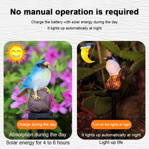 Two images feature the Solar Bird Light: on the left, it charges in sunlight during the day; on the right, it glows beautifully at night. This garden solar light offers automatic operation and hassle-free solar charging, making it an ideal outdoor decor accent for songbird lovers.