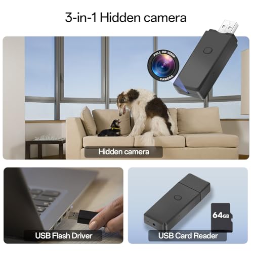 Collage with a SpyCam Flash Drive, USB flash drive, and USB card reader, set against a modern living room backdrop featuring a dog on a couch.