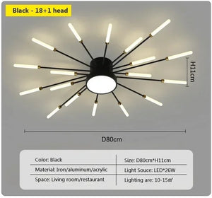 magic wand light | architectural lighting design | sunburst light fixture | sunburst ceiling light | sunburst ceiling medallion