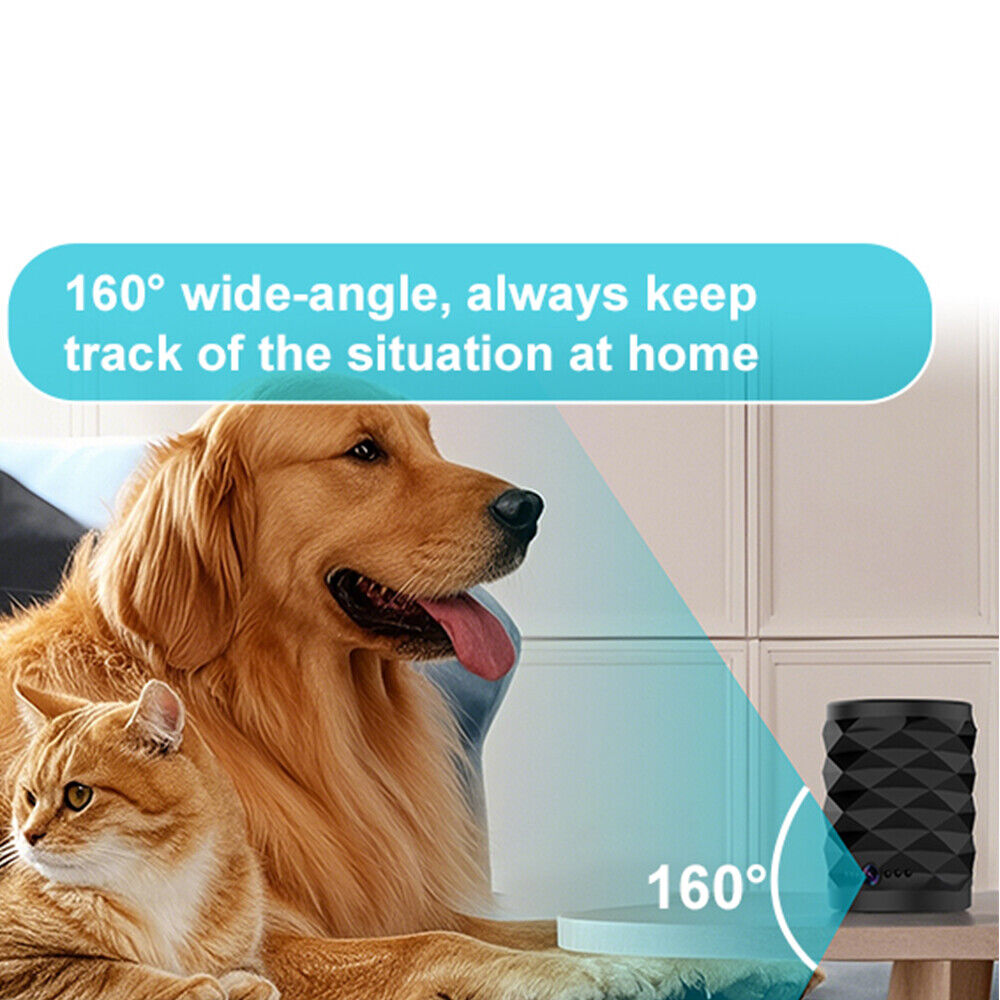A golden retriever and an orange cat sit indoors beside the Bluetooth Speaker SpyCam, a black device offering 24/7 security with a label emphasizing its 160° wide-angle view.