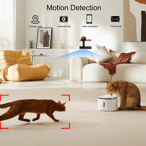 Two cats are in the living room by a Universal Charger SpyCam; one cat has a red square overlay, while the other sits near the subtle wireless charger, showcasing its stealthy detection features.