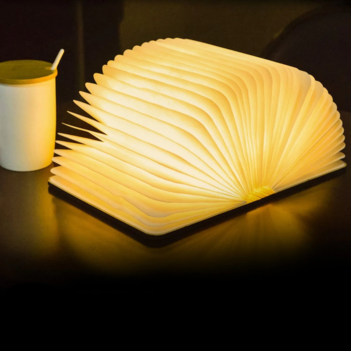 Open A Book Portable Light - iSmart Home Gadgets Limited