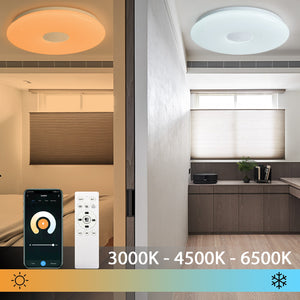Smart Ceiling Light - iSmart Home Gadgets Limited
