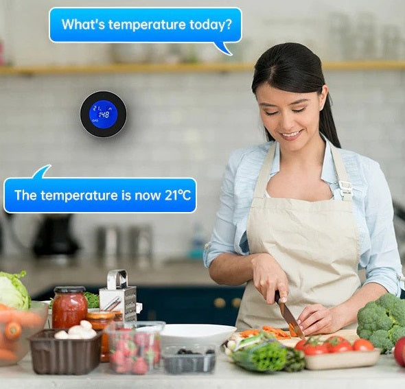 gas leak detector ｜ natural gas detector ｜ natural gas leak detector ｜ home depot natural gas detector ｜ best natural gas detector ｜ combustible gas leak detector ｜ best gas leak detector ｜ best gas detector