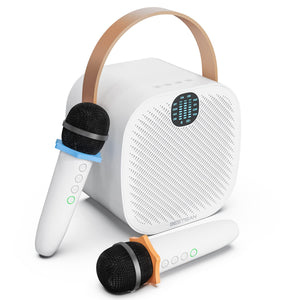 Mini Karaoke System - iSmart Home Gadgets Limited