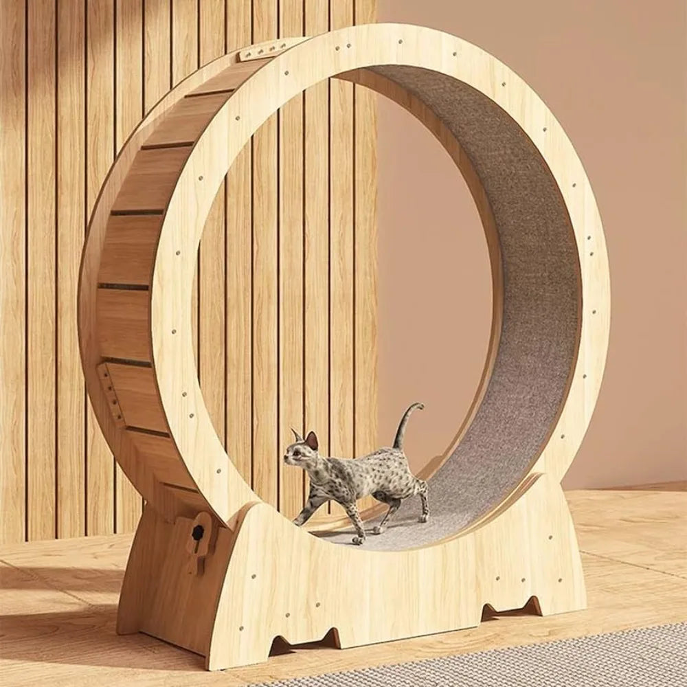 wooden cat exercise wheel