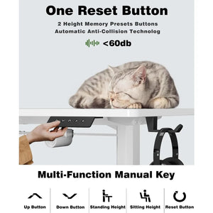 A cat sitting on a ergonomic adjustable desk with multi-function manual keys to adjust the height of the desk.