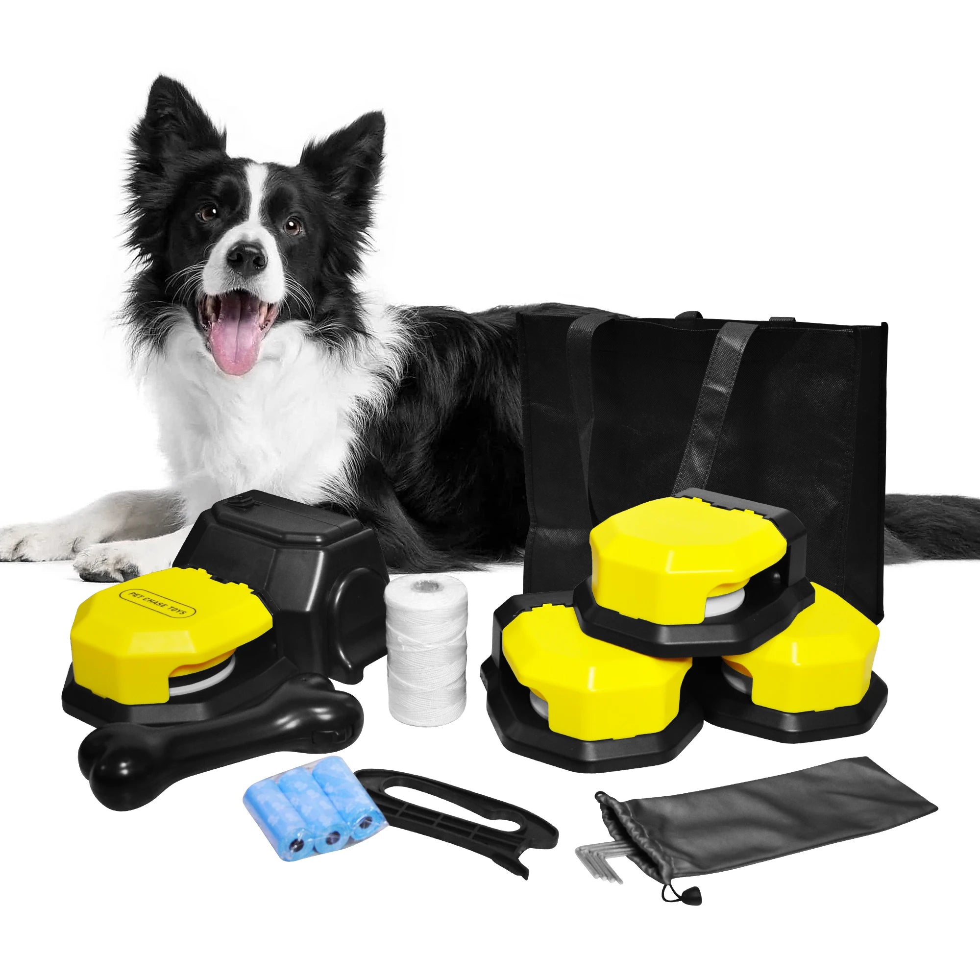 A black and yellow dog is laying next to a bag of supplies, showcasing its fitter lifestyle.