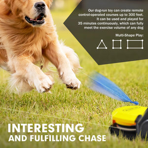 A golden retriever is chasing a lawn mower, enjoying an active and playful exercise.