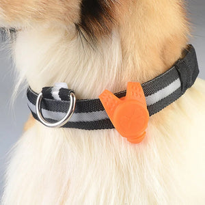 dog collar light | dog collar light up | dog collar light clip | dog safety light | dog led light | dog collar light rechargeable | spotlit collar light