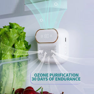 Refrigerator Deodorizer - iSmart Home Gadgets Limited