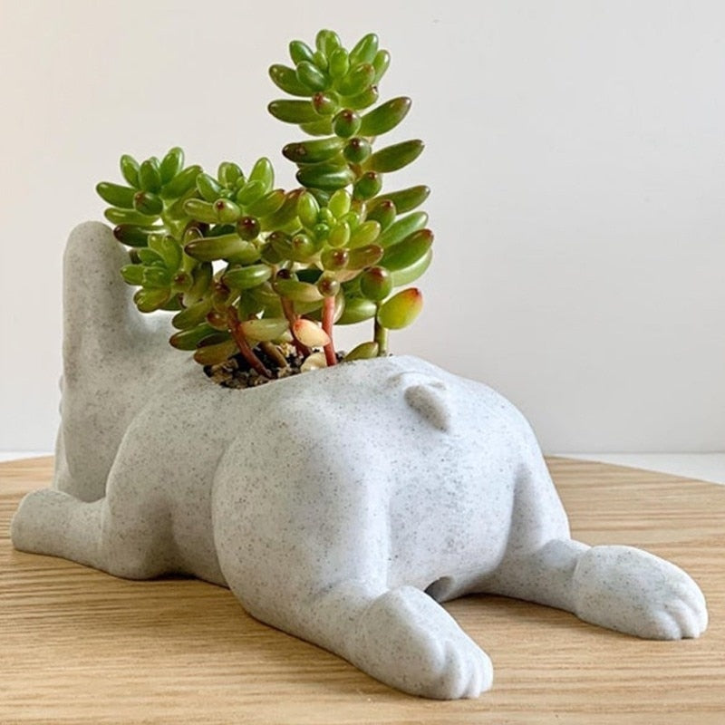 Puppy Succulent Pot - iSmart Home Gadgets Limited