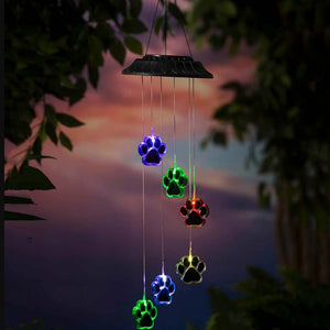 Solar Paw Light - iSmart Home Gadgets Limited