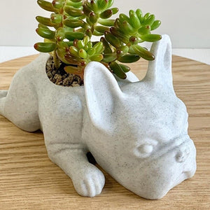 Puppy Succulent Pot - iSmart Home Gadgets Limited