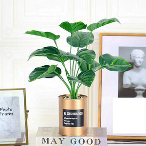 Artificial Plant SpyCam - iSmart Home Gadgets Limited