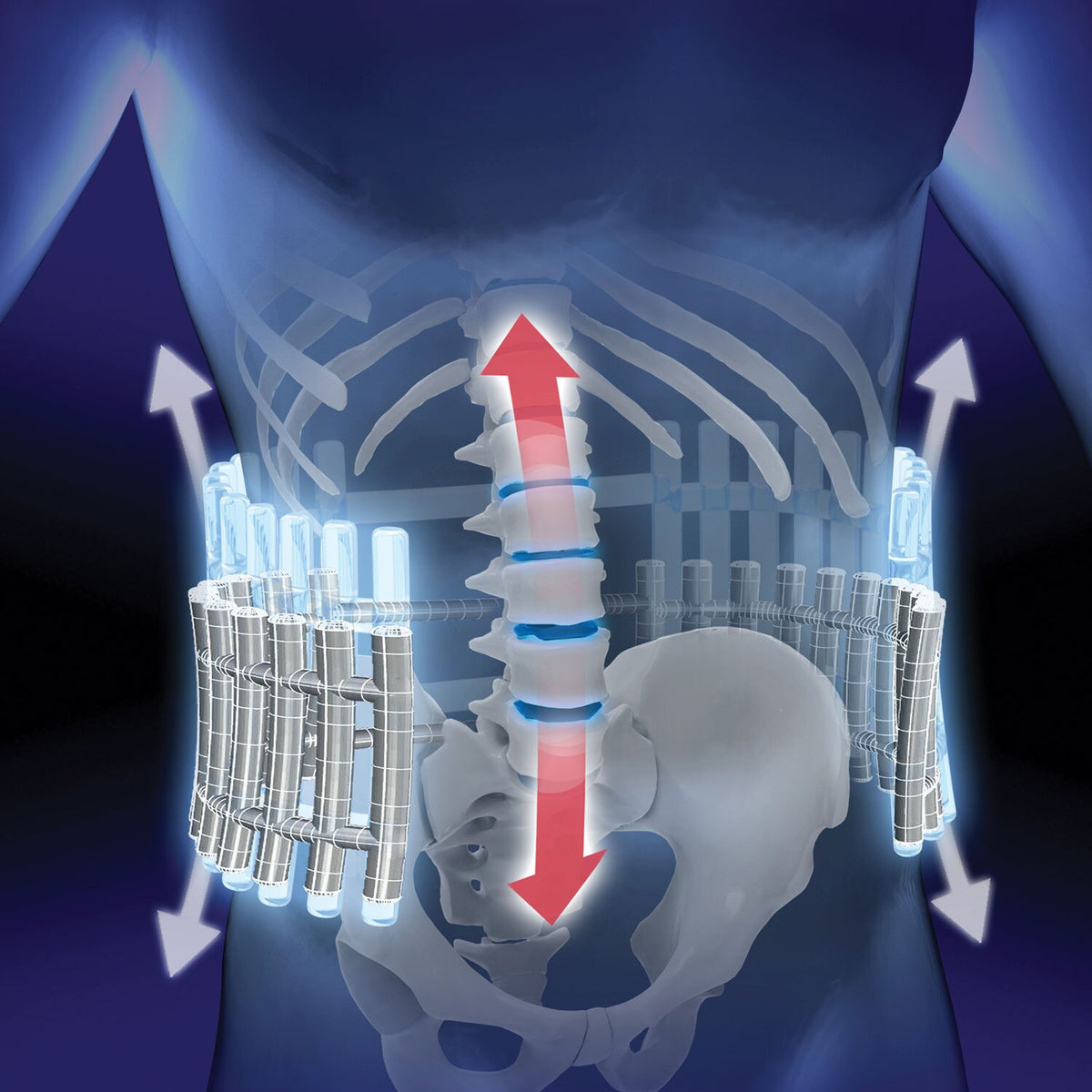 Spine Support Belt - iSmart Home Gadgets Limited