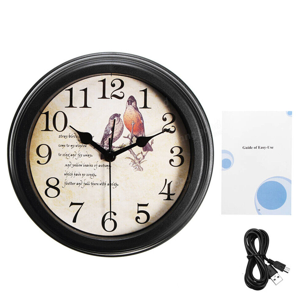 The Bird Clock SpyCam is a round wall clock with bird illustrations, featuring a black frame and numerals. It includes motion detection and comes with a USB charging cable and user guide.
