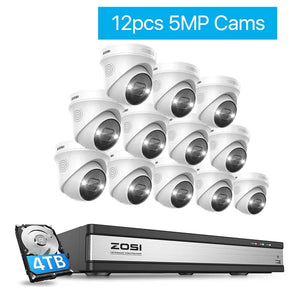 A video surveillance system with 12 CCTV cameras and a 4TB hard disk for outdoor security.